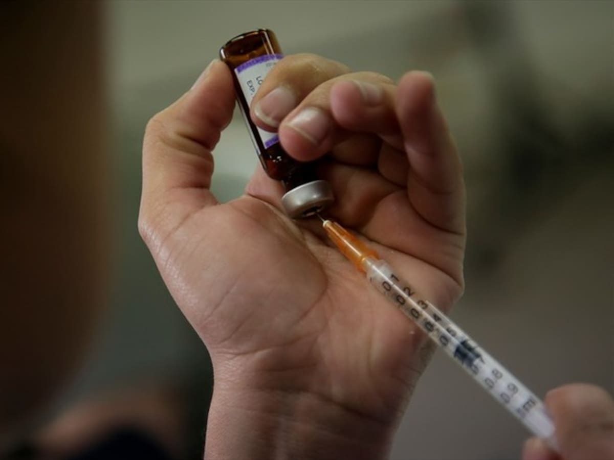 Descartan casos sospechosos de fiebre amarilla en Ibagué