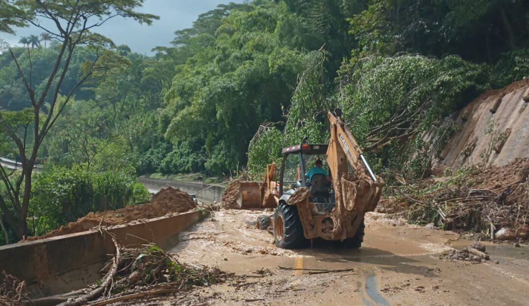 Variante La Romelia - El Pollo