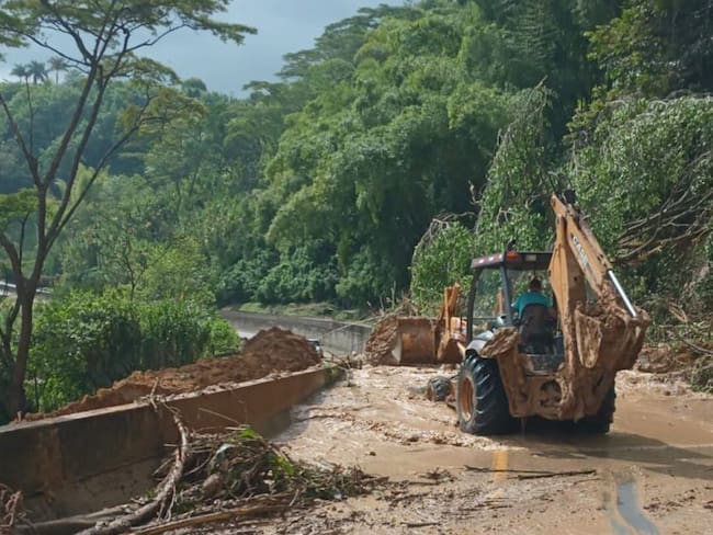 Variante La Romelia - El Pollo