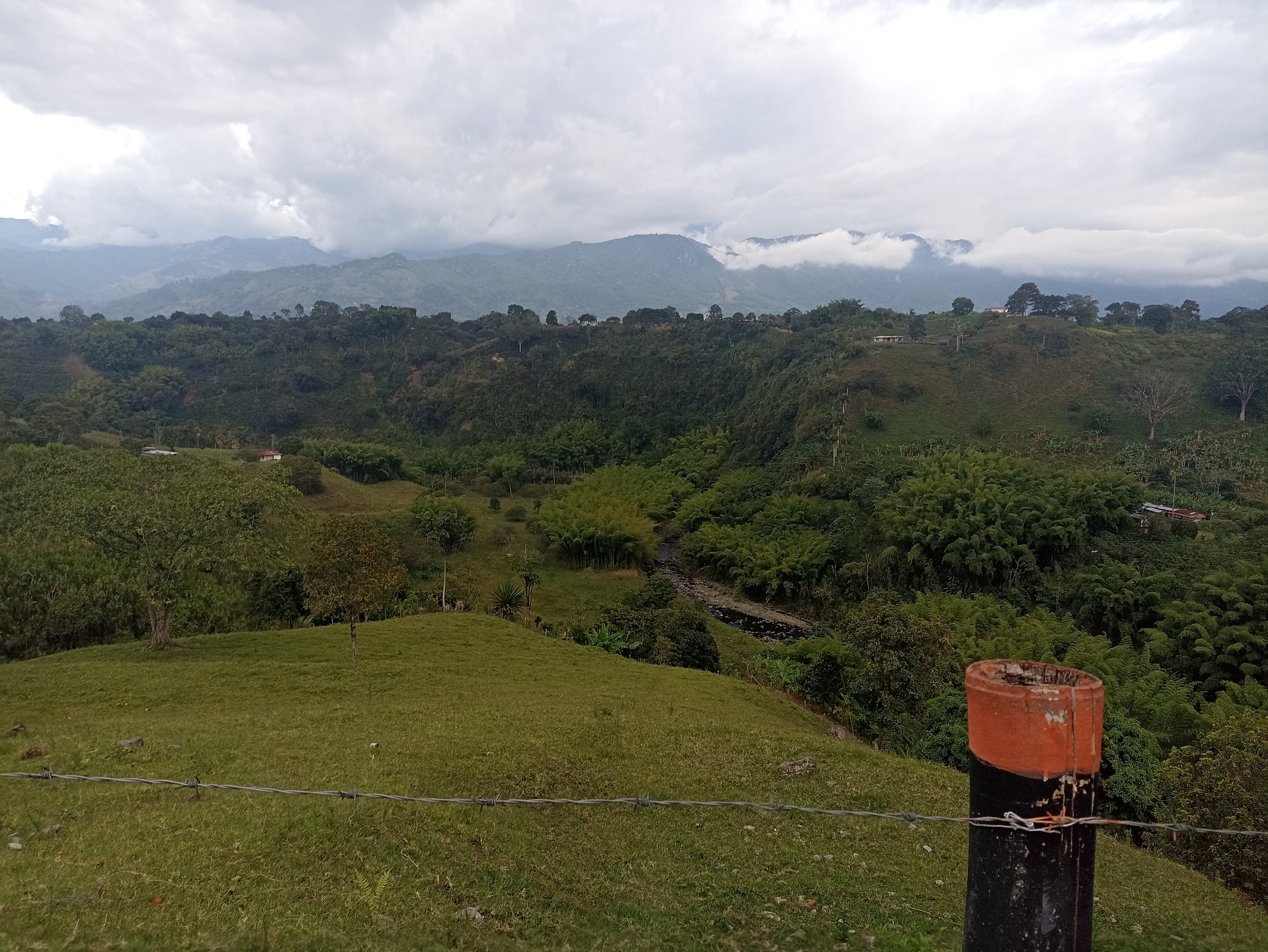 Los hermosos verdes de los paisajes de Armenia y el Quindío. Foto Adrián Trejos