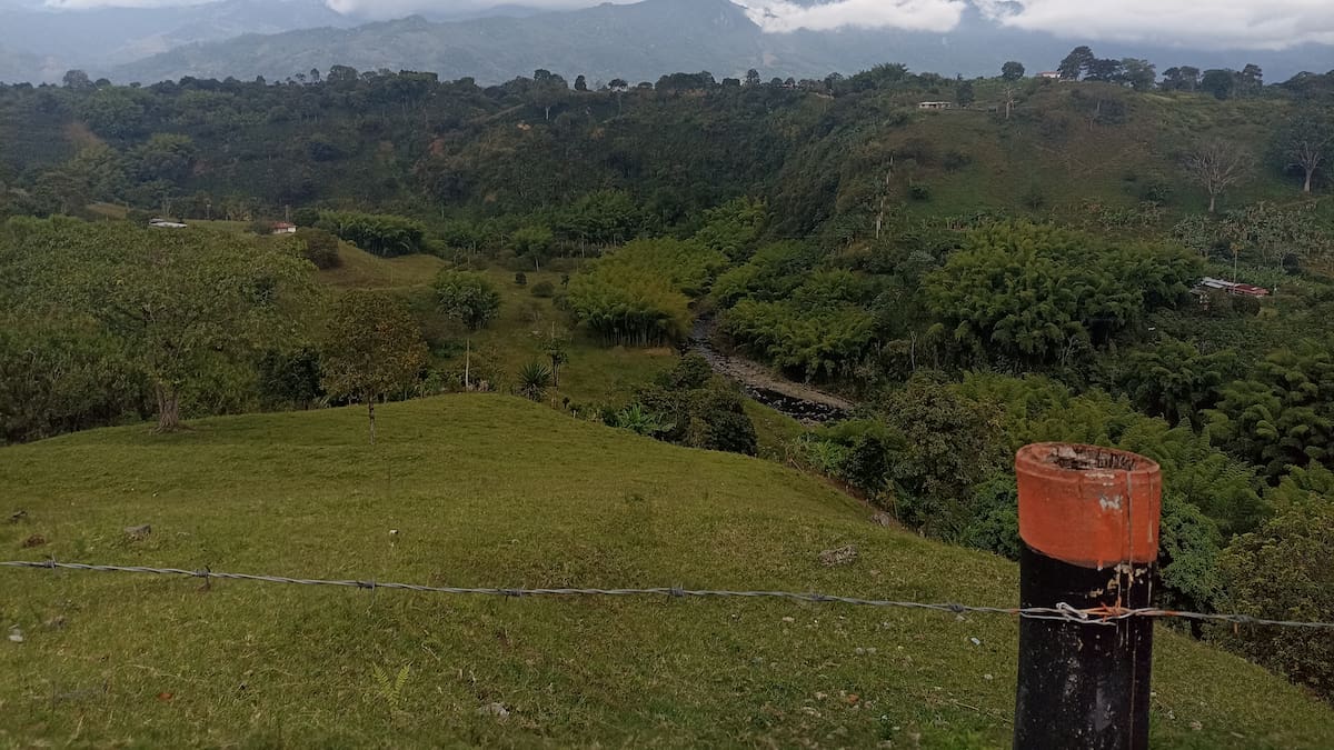 Martes 3 de octubre, las noticias más importantes de Armenia y Quindío