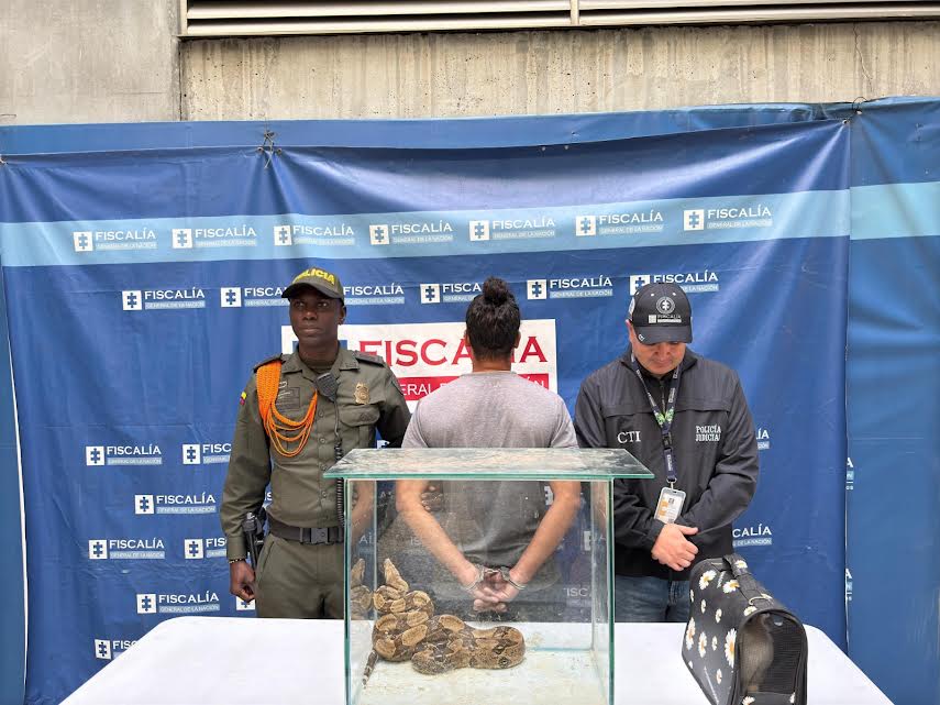 El capturado fue dejado a disposición de la Fiscalía General de la Nación para su respectivo proceso judicial. Foto: Alcaldía Distrital.