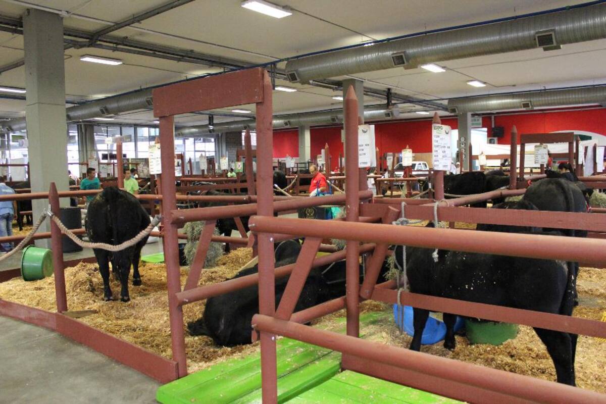 Así va la puesta en marcha de Expocolanta 2014