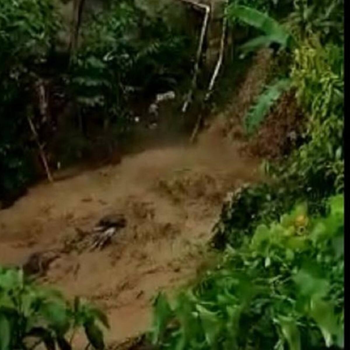 Al menos 400 familias están afectadas tras un fuerte aguacero en Amagá