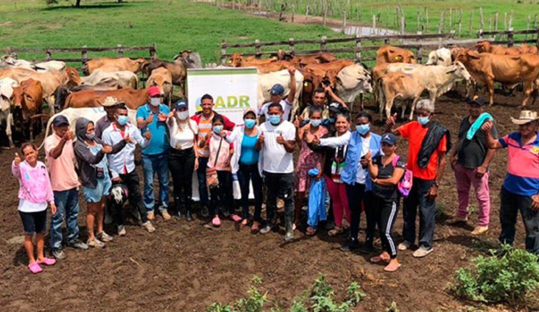 La iniciativa de la ADR contempla asistencia durante la producción y comercialización de leche y semovientes