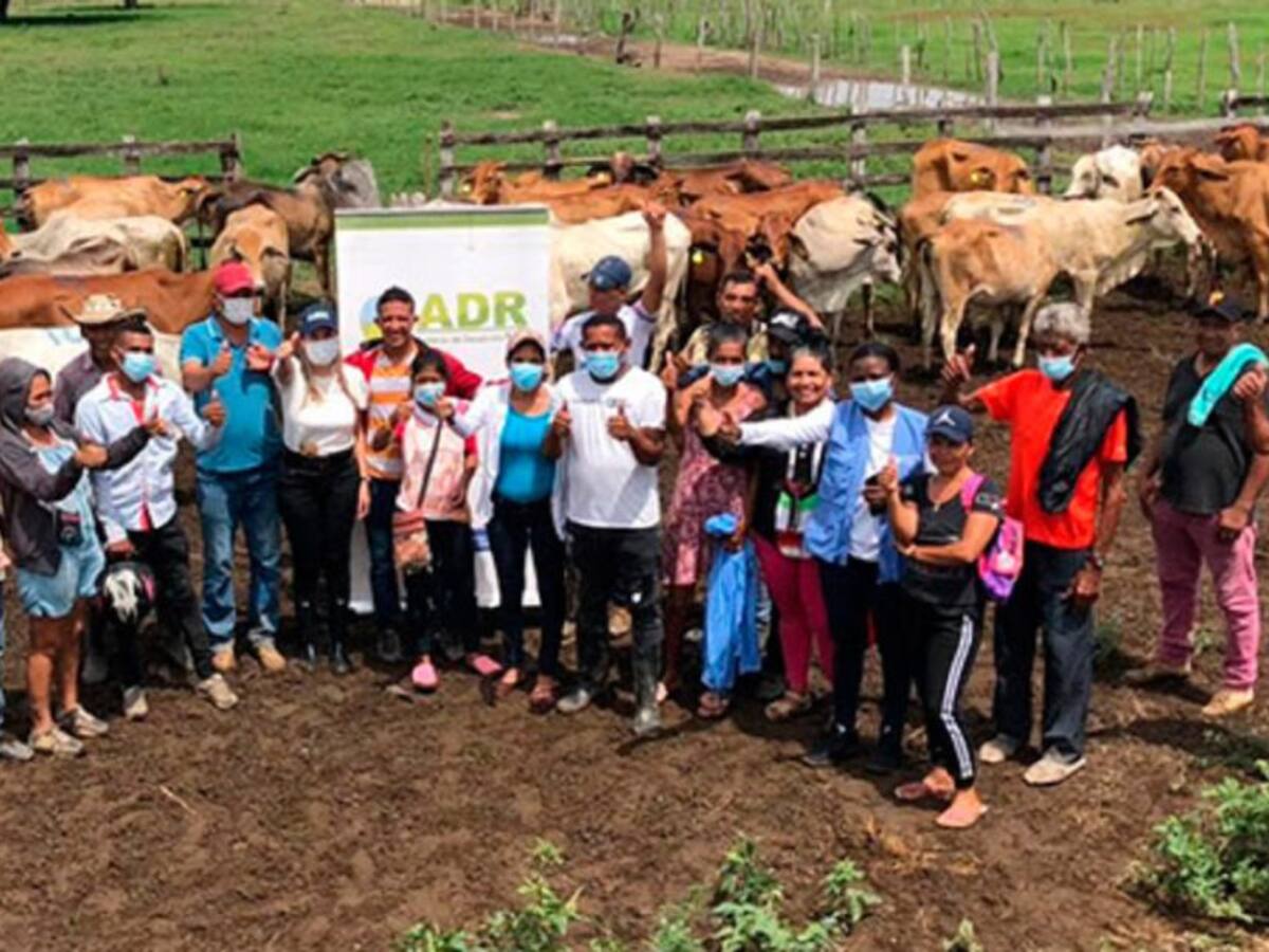 42 ganaderos recibieron novillas de vientre doble propósito en El Guamo