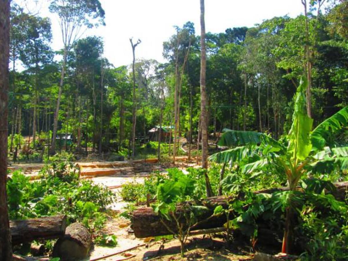 Propuesta para intervención de la Van Der Hammen se presentará a inicios de 2017