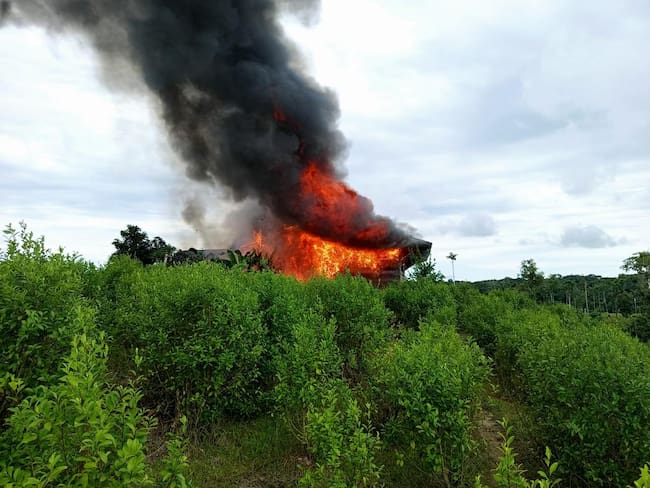 Destrucción de laboratorios de droga en Amazonas.