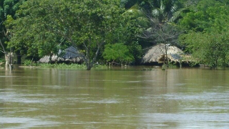 Investigan mortandad de peces en el sur de Córdoba. Foto: Colprensa
