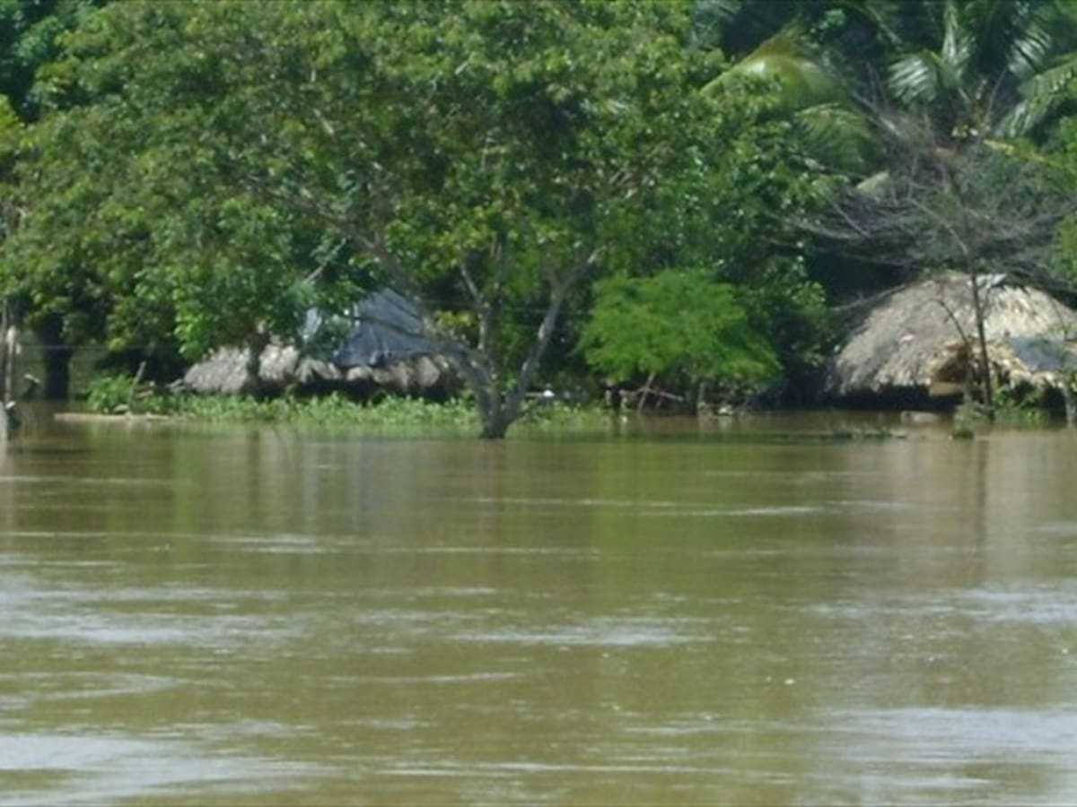 Investigan mortandad de peces en el sur de Córdoba