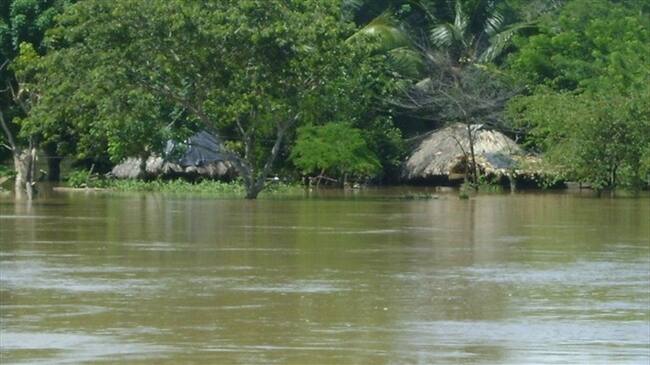 Investigan mortandad de peces en el sur de Córdoba. Foto: Colprensa