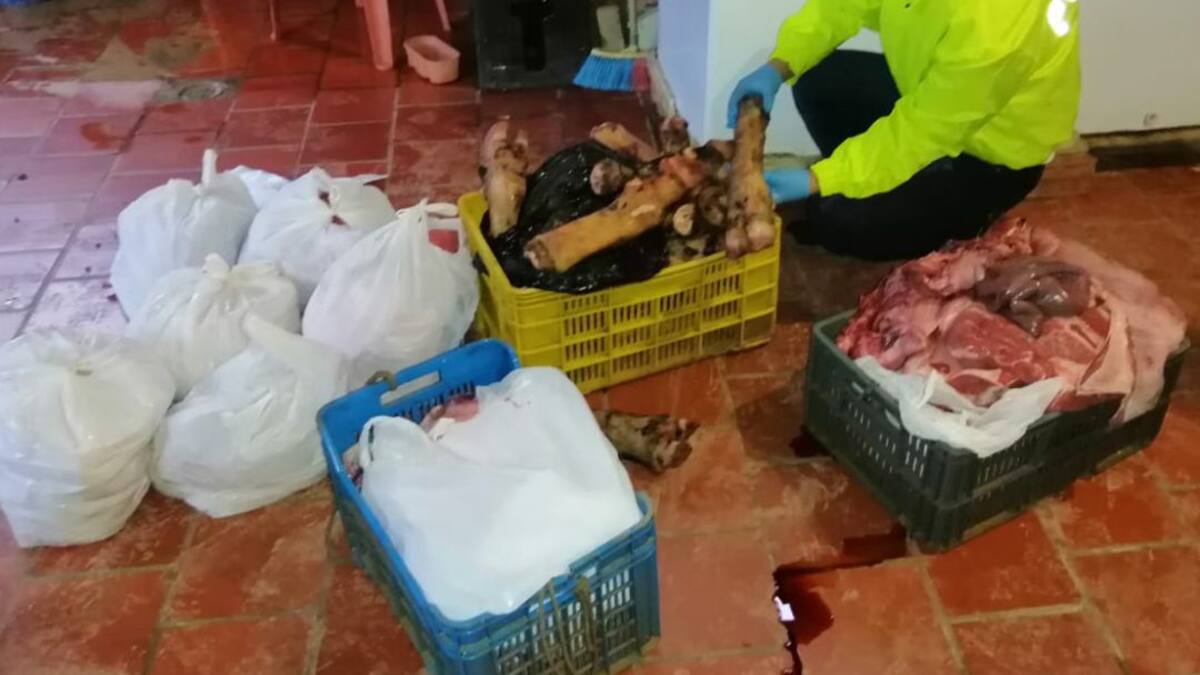 Cuidado con la carne salida de los mataderos clandestinos