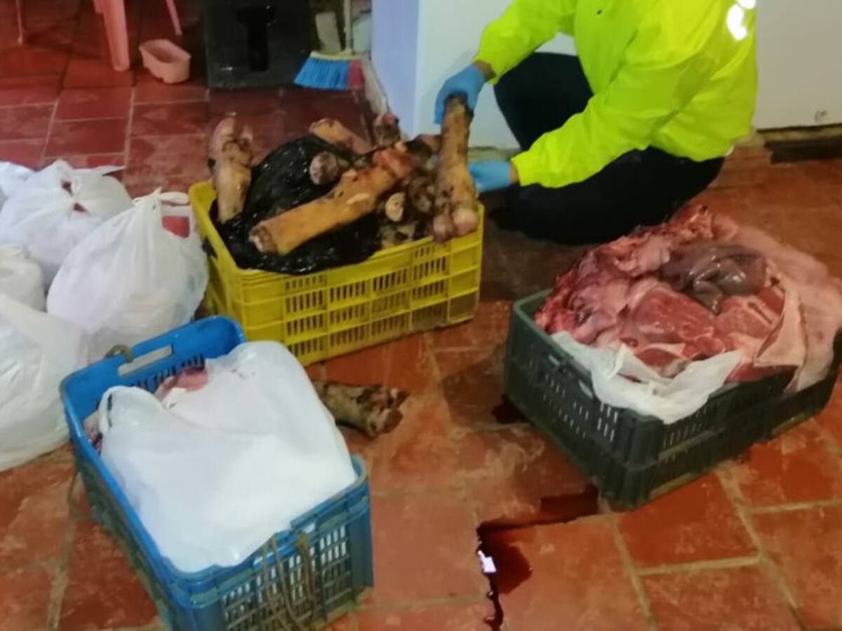 Cuidado con la carne salida de los mataderos clandestinos
