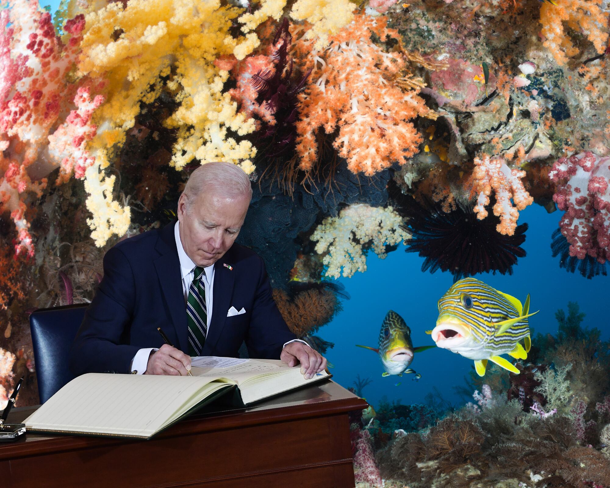 El gobierno de Joe Biden perdonó una deuda de 35 millones de dólares a Indonesia a cambio de que el país asiático dedique el dinero de la deuda a proteger el ecosistema marino.
(Foto: Caracol Radio / Getty )