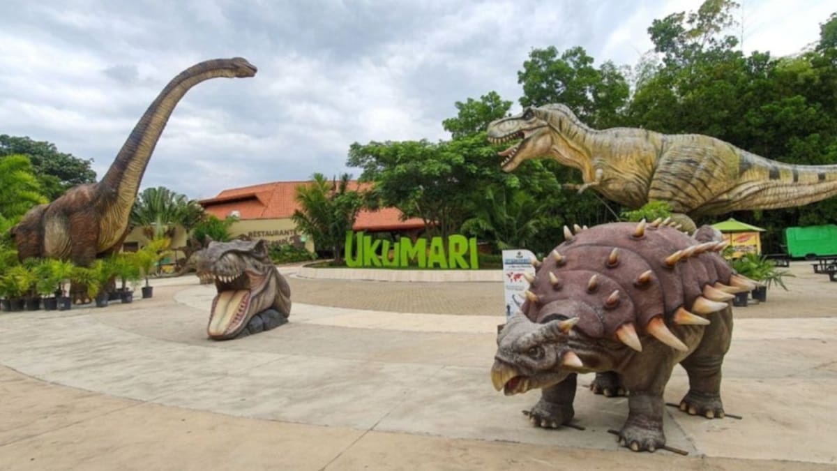 Controversia en Pereira por video sexual grabado en el Bioparque Ukumarí