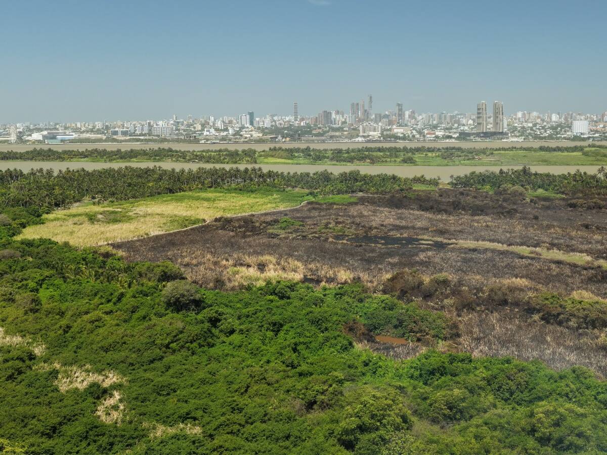 Controlan incendio forestal en el parque Isla Salamanca