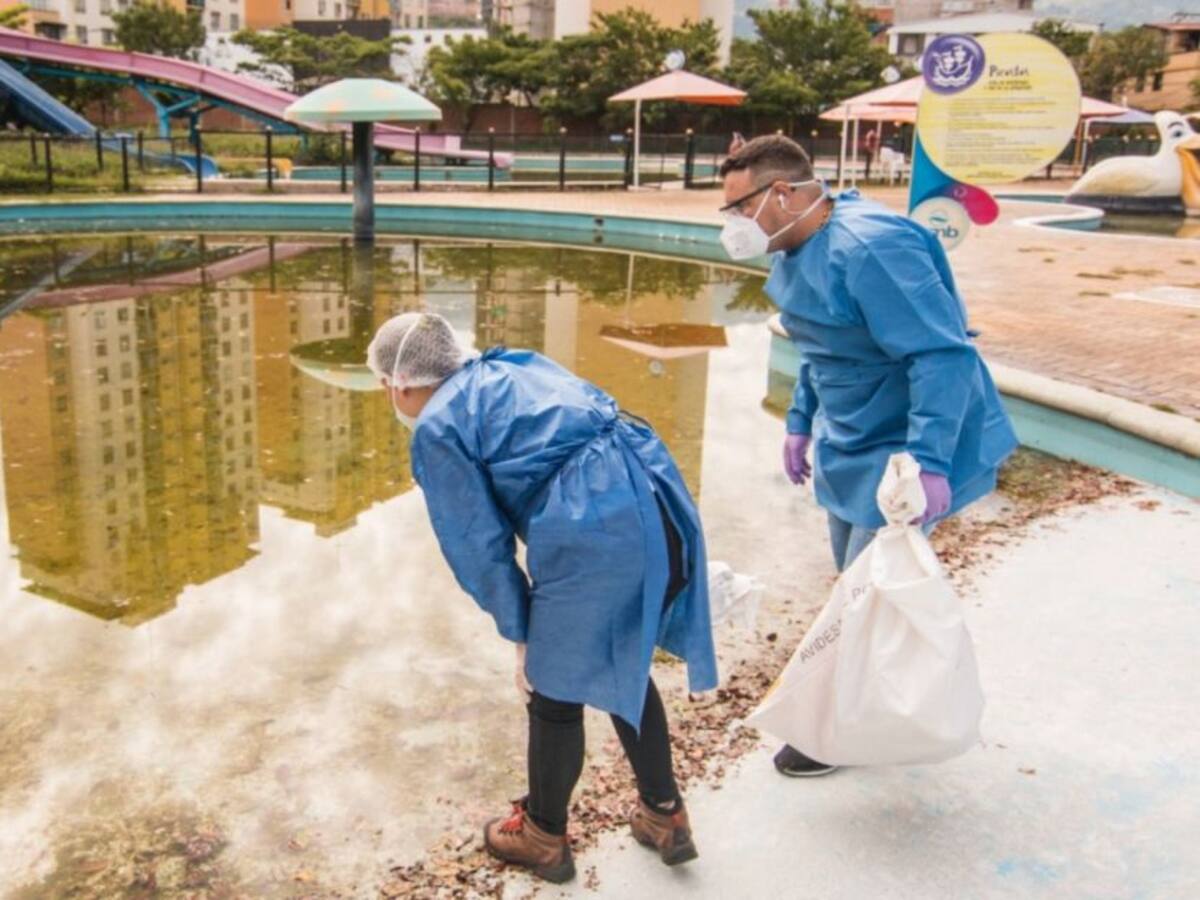 Acualago sí es foco de incubación de vectores