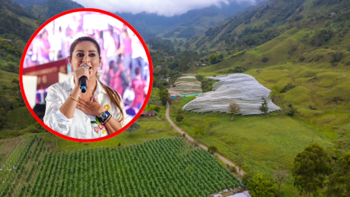 Gobernadora del Tolima y arroceros denuncian incumplimiento de acuerdos por parte del Gobierno