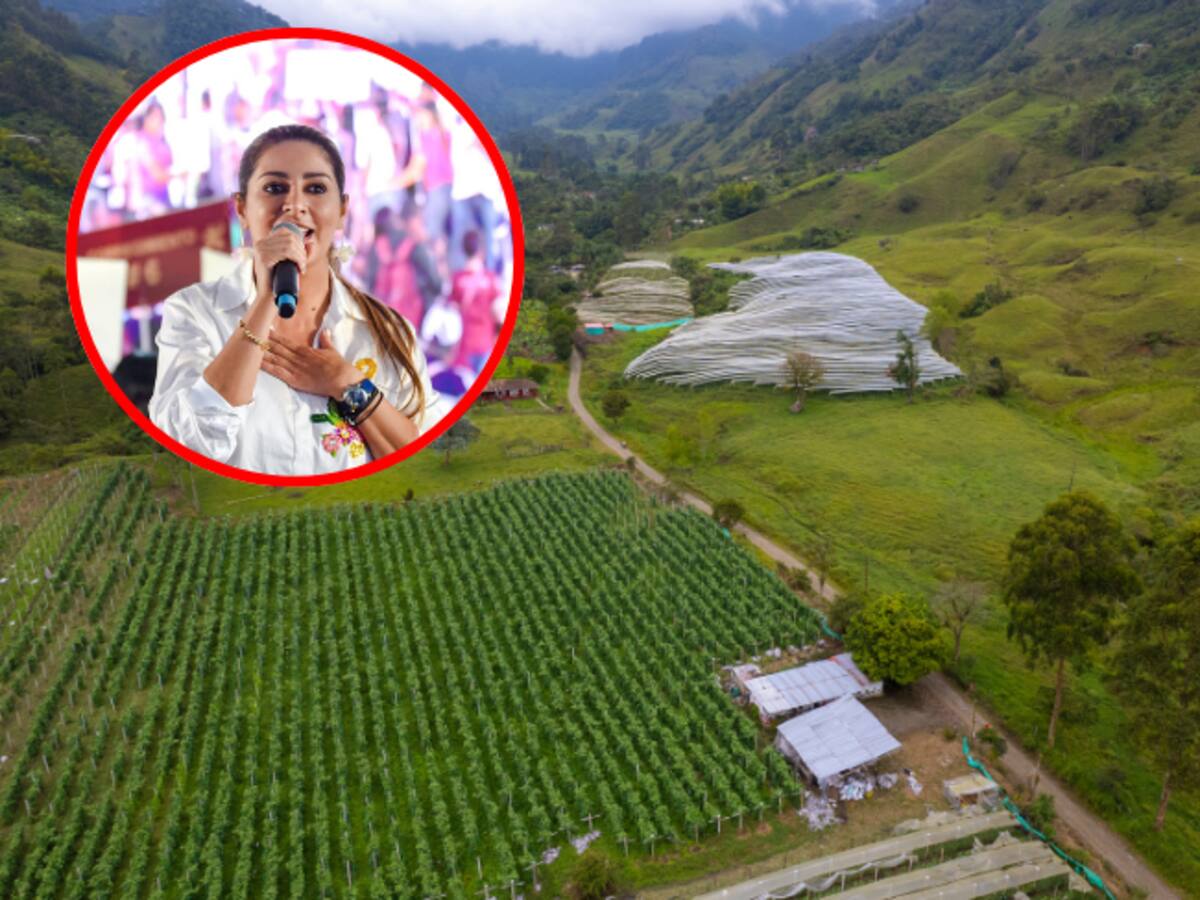 Gobernadora del Tolima y arroceros denuncian incumplimiento del Gobierno y “replantean paro”