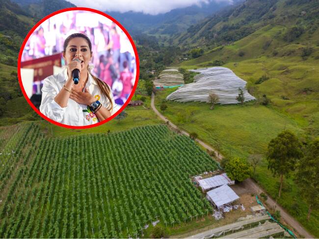 Gobernadora del Tolima y arroceros denuncian incumplimiento de acuerdos por parte del Gobierno