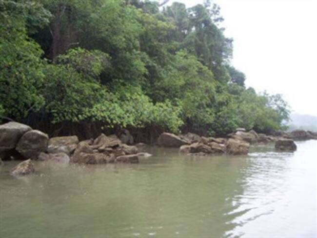 Uramba Bahía Málaga declarada Parque Nacional Natural