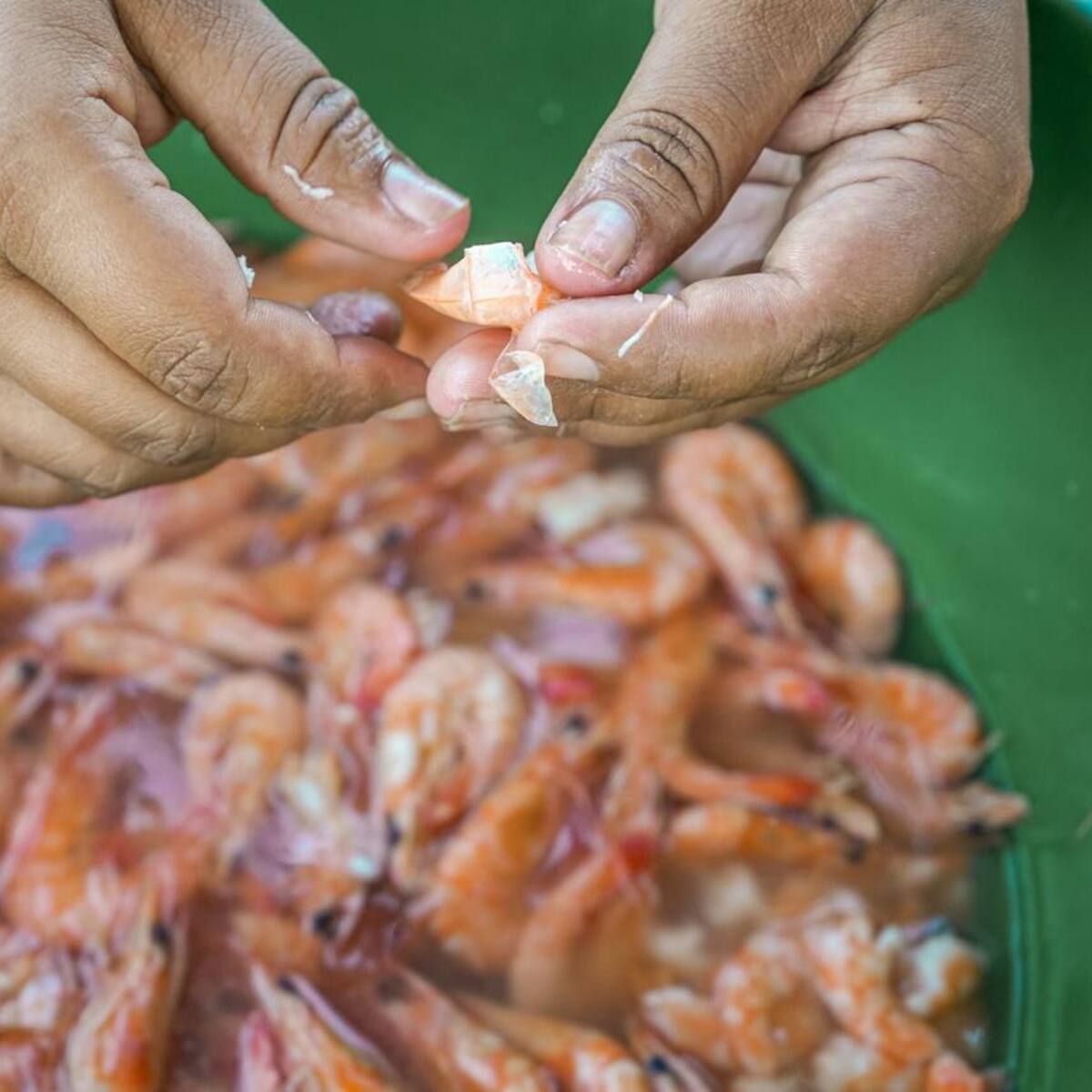 EE. UU. retira del mercado camarón congelado de Walmart por posible contaminación radioactiva