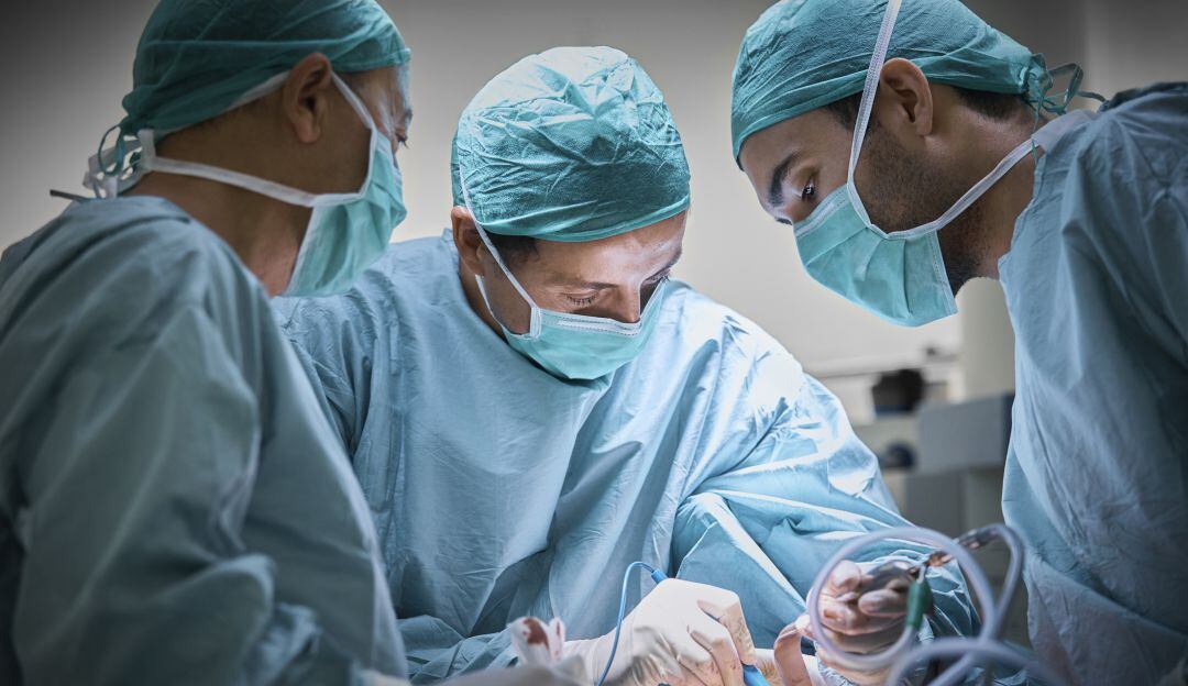 Imagen de referencia