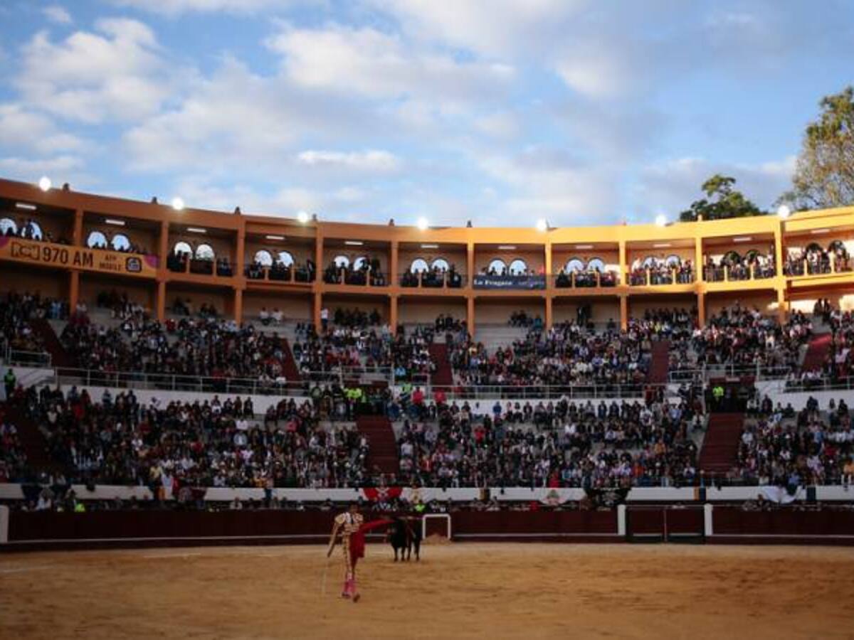 Consejo de Estado negó revisar un incidente por consulta antitaurina