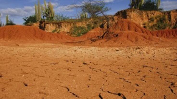 Degradación de los suelos: causas, consecuencias y medidas a seguir