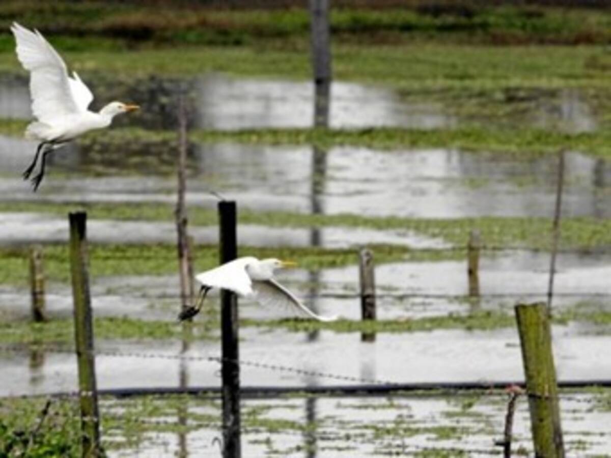 ​Alerta roja en cuatro zonas por sequía y seis por inundaciones