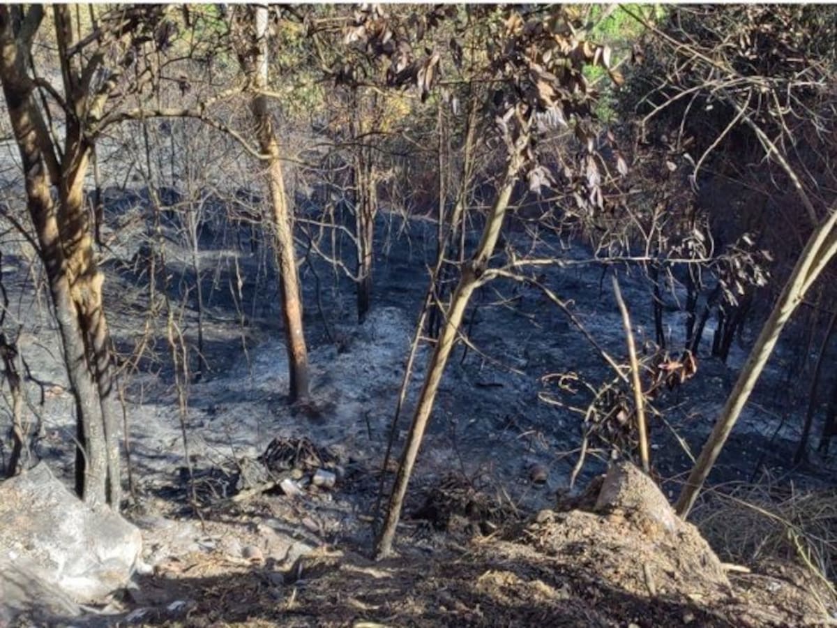 CDMB pide a 13 municipios prepararse ante posible llegada del fenómeno de El Niño