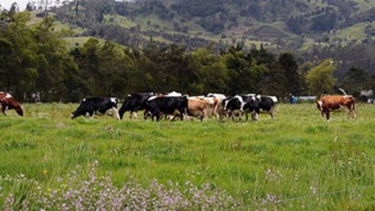 Gobierno presentará proyecto que garantice la inversión extranjera en el campo