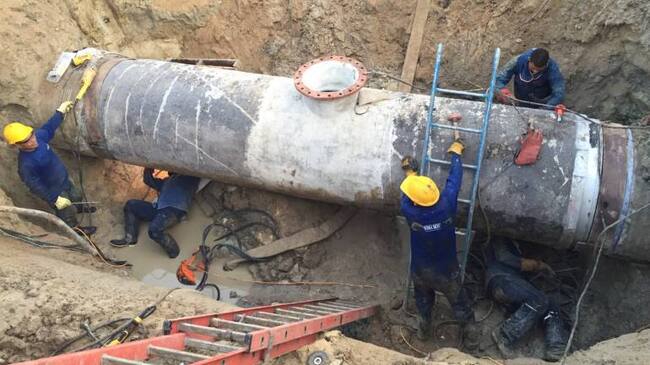 Imagen de referencia.