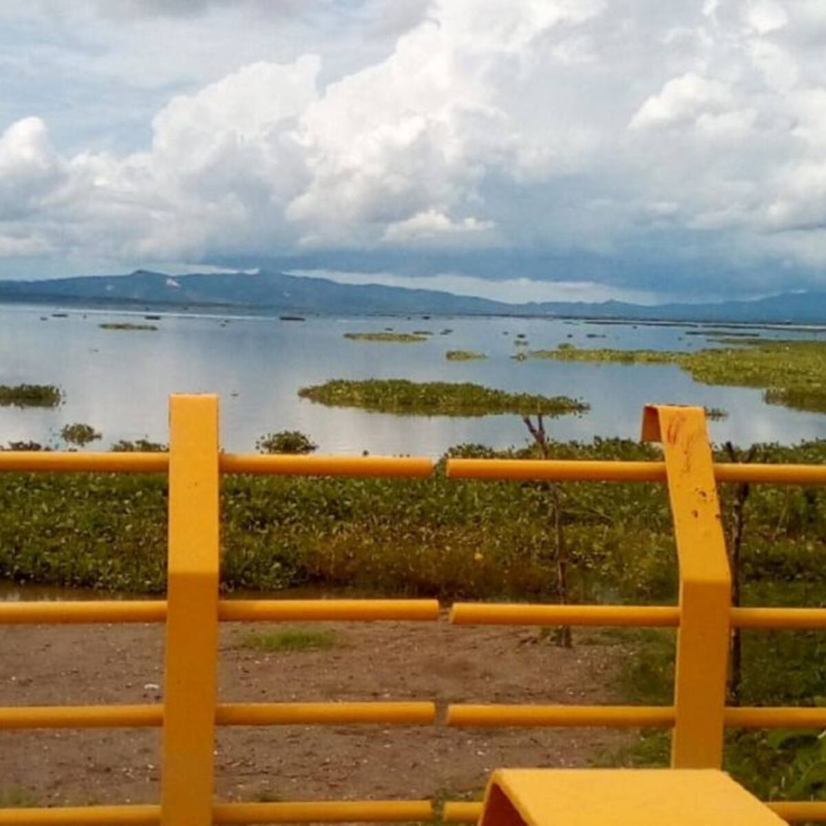 Pescadores advierten riesgo en seguridad alimentaria por bajo nivel de Embalse del Guájaro