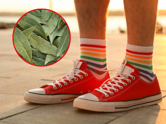 Zapatos/Hojas de laurel (Getty Images).