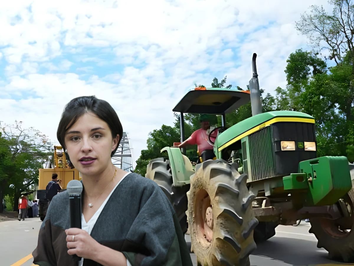 Bloqueos del Paro arrocero afectarán el déficit de producción del grano del otro año: Minagricultura