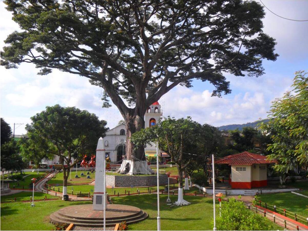 Parte del gabinete de Victoria, Caldas, terminó atrapado en bloqueos campesinos del Cesar