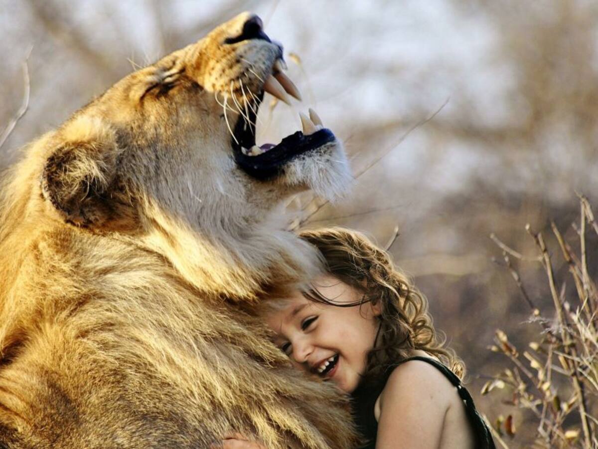 ‘Abrazar el miedo’ como prueba de valor