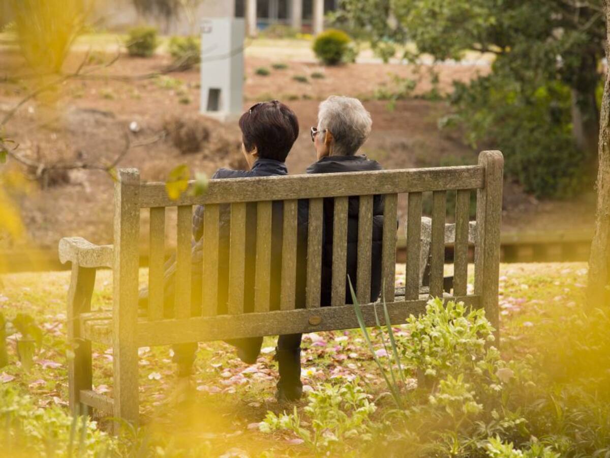 La edad no es un factor limitante para la amistad