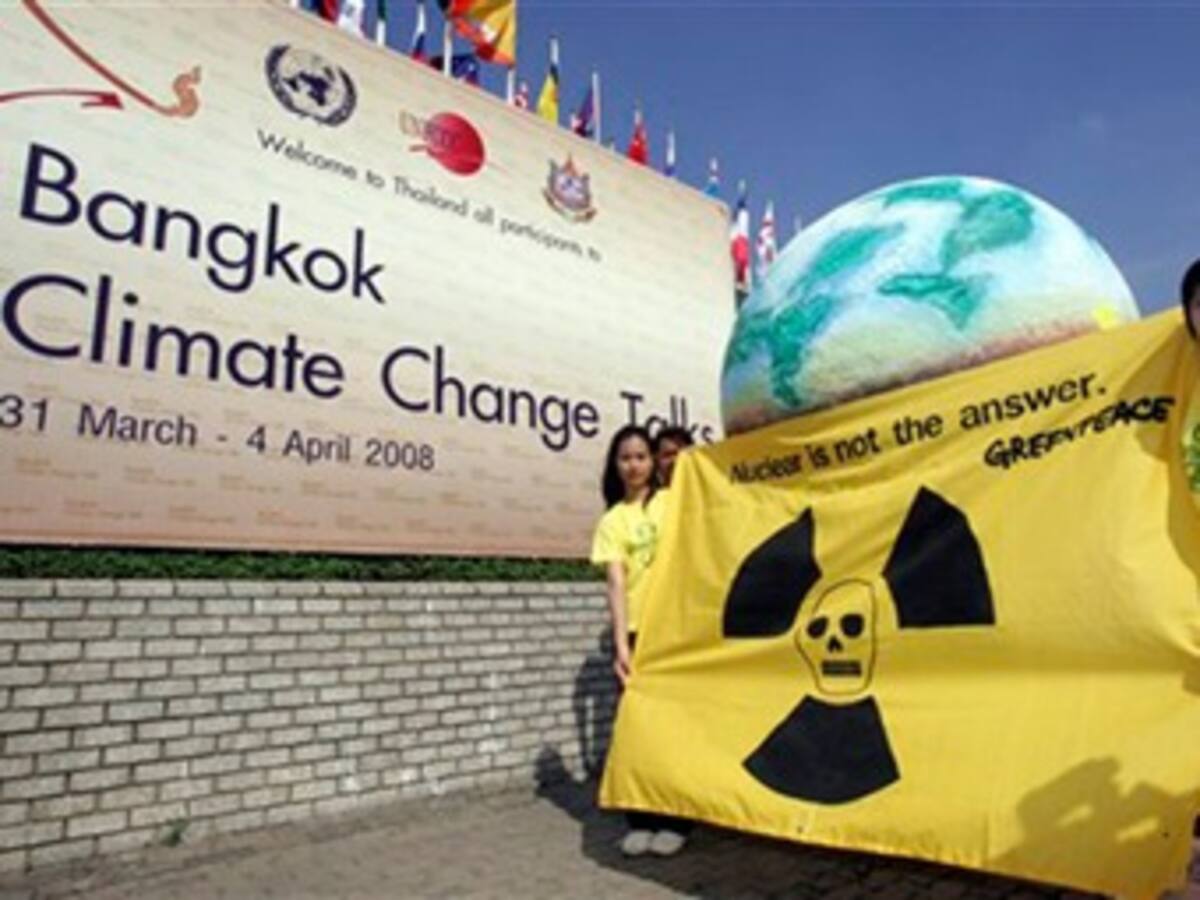 Expertos ONU celebran la oferta de Brasil de reducir sus emisiones de CO2