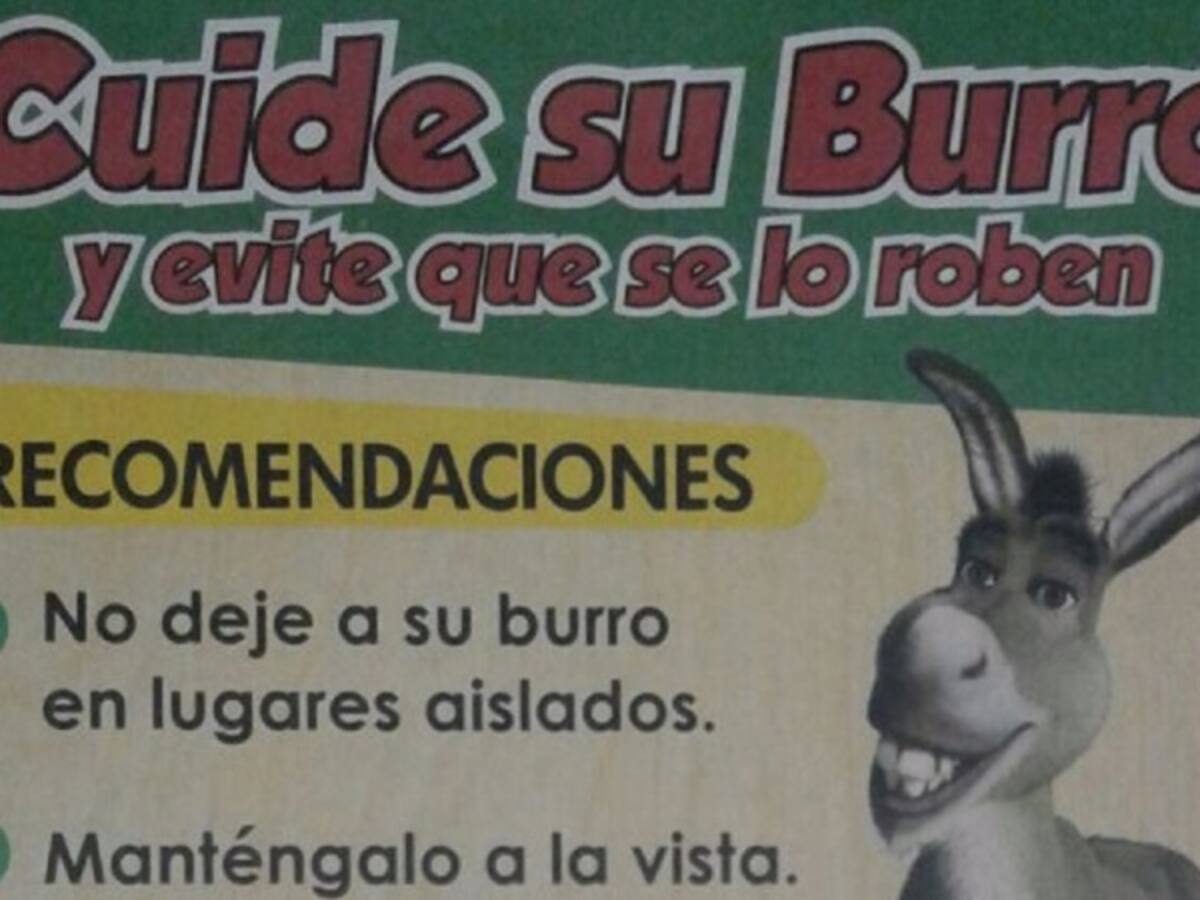 Policía de Sucre adelanta una campaña para que campesinos cuiden sus burros y no sean despellejados