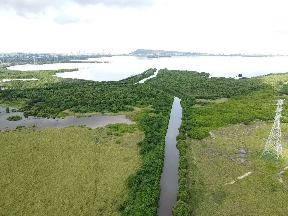 Alcaldía de Cartagena