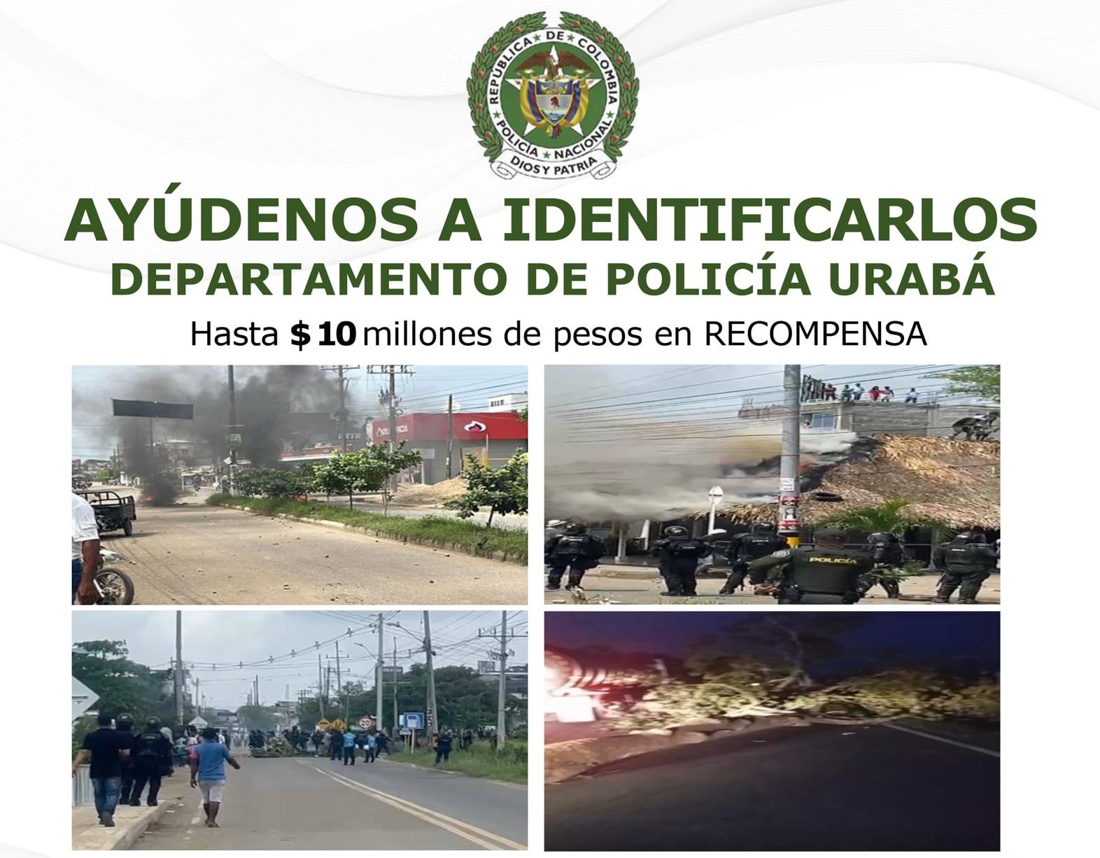 Policía de Urabá ofrece recompensa para capturar a quienes incentivan la invasión en la finca Virgen del Cobre.