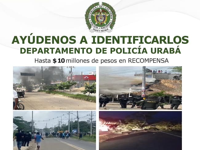 Policía de Urabá ofrece recompensa para capturar a quienes incentivan la invasión en la finca Virgen del Cobre.