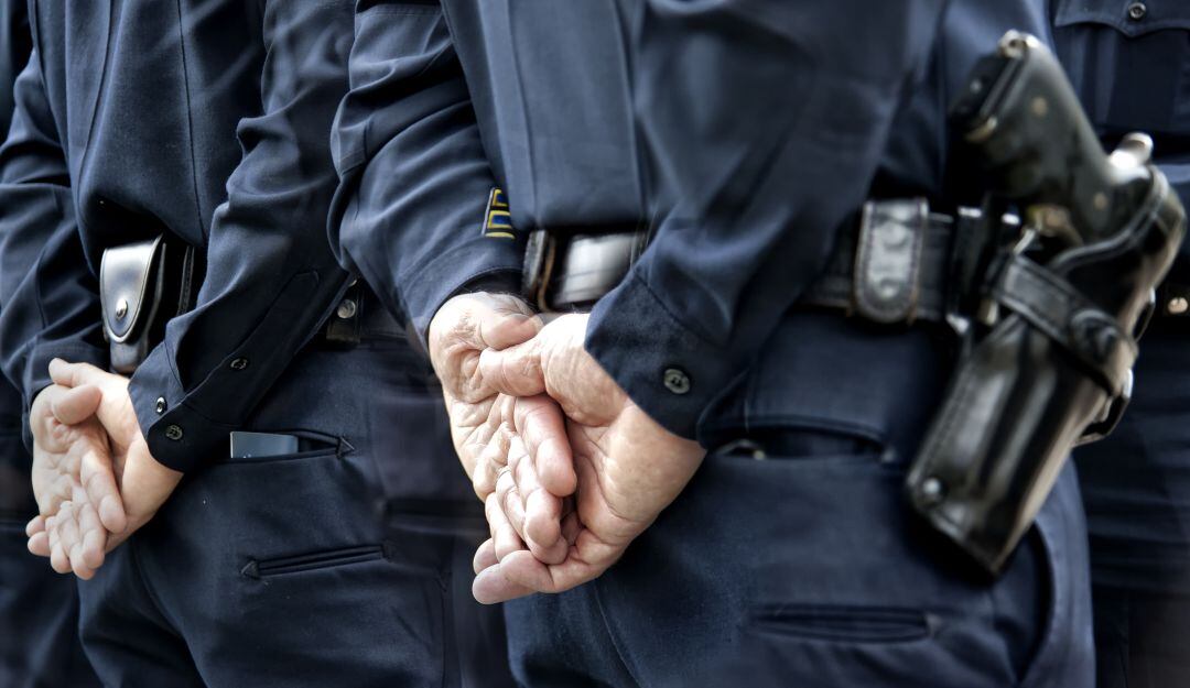 Imagen de referencia