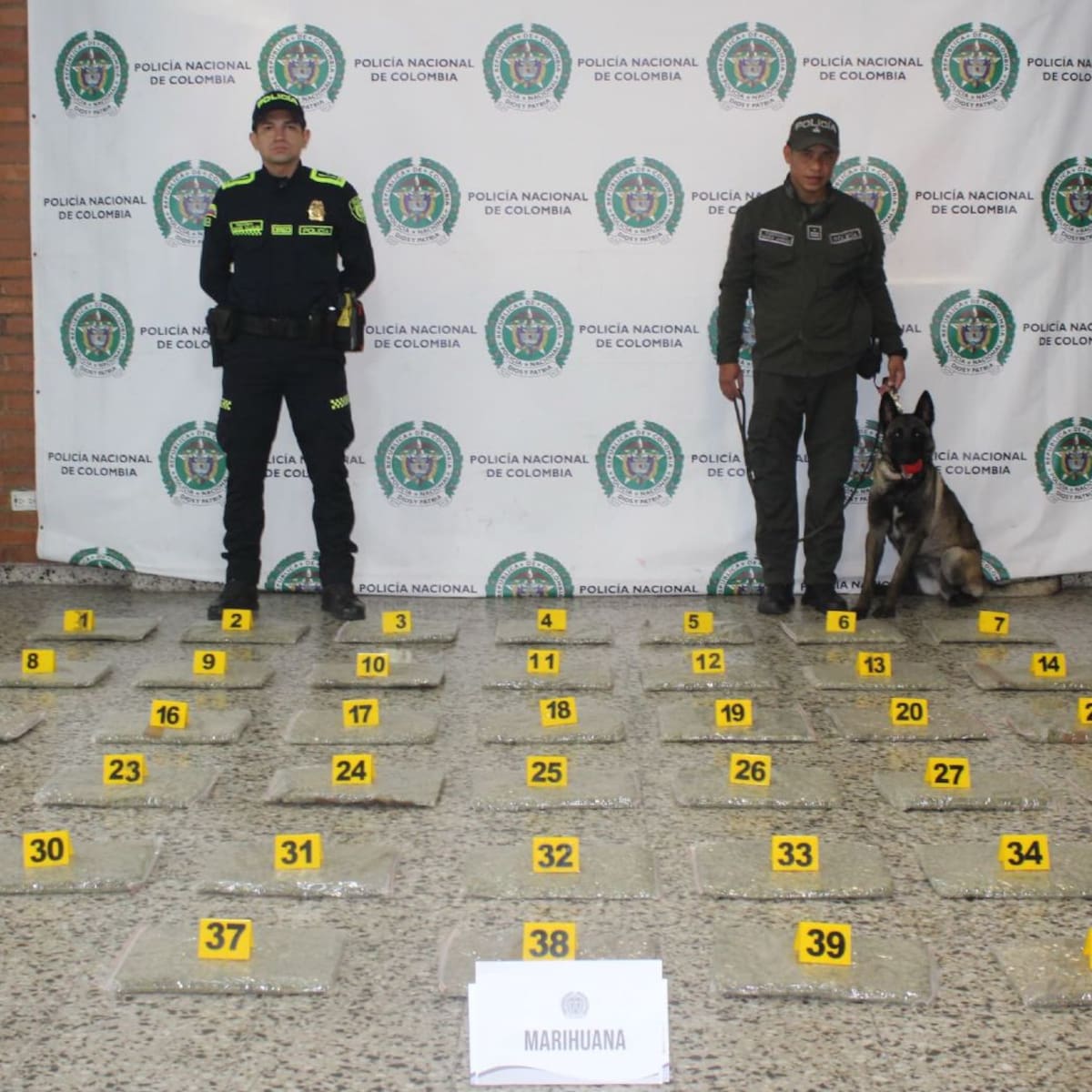 Incautados más de 20 mil gramos de marihuana en el Aeropuerto El Dorado