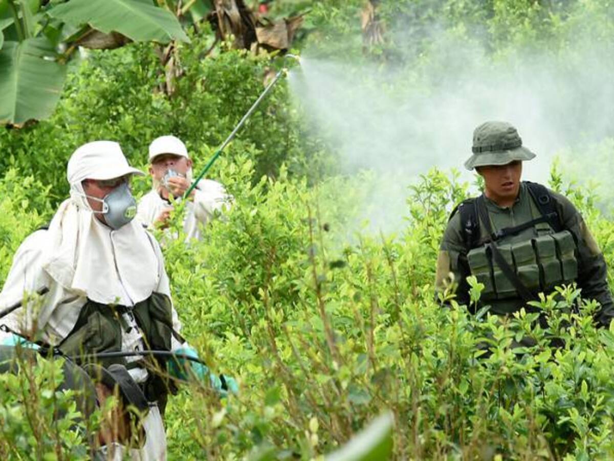 En Tumaco, Nariño, empezará fumigación manual con glifosato