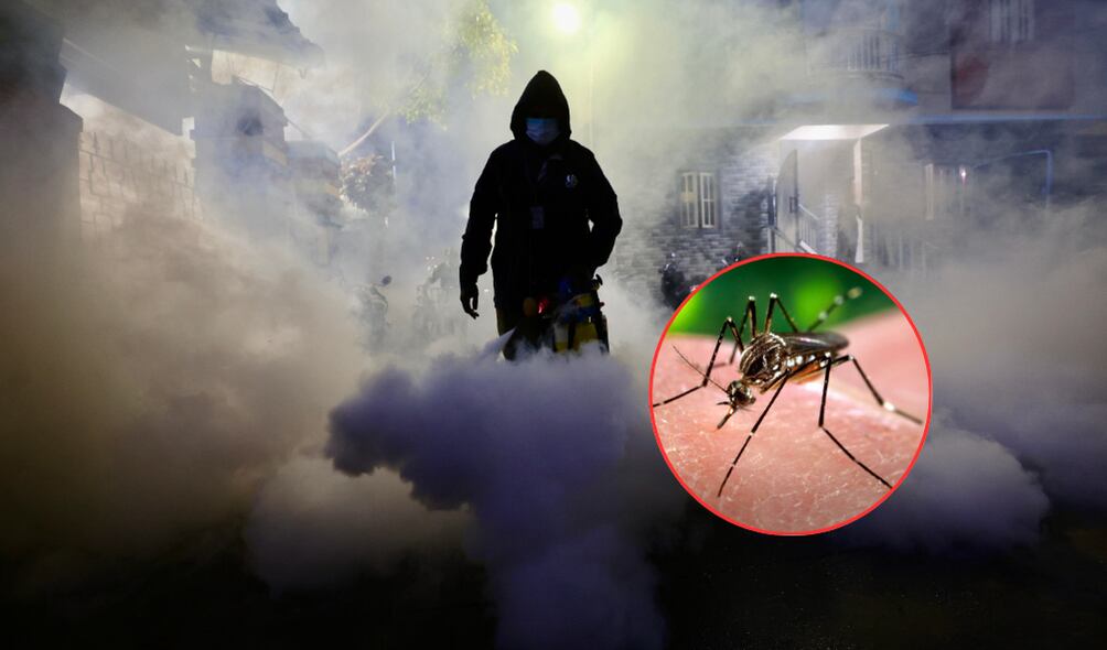 El msoquito que transmite el dengue es hasta 10 veces resistente a insecticidas y repelentes. ( Foto: EFE / BBC / Caracol Radio )