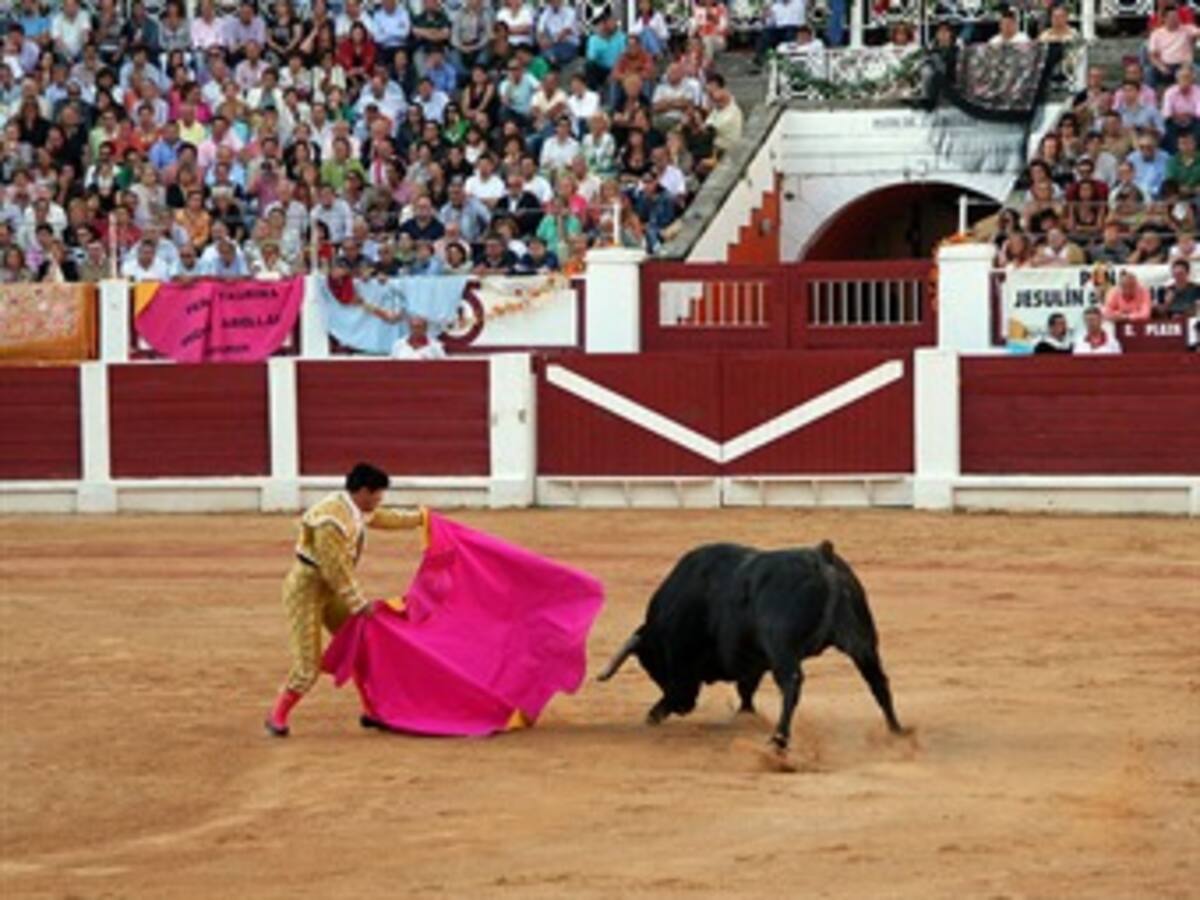 Estoy feliz por el fallo de la Corte Constitucional: César Rincón