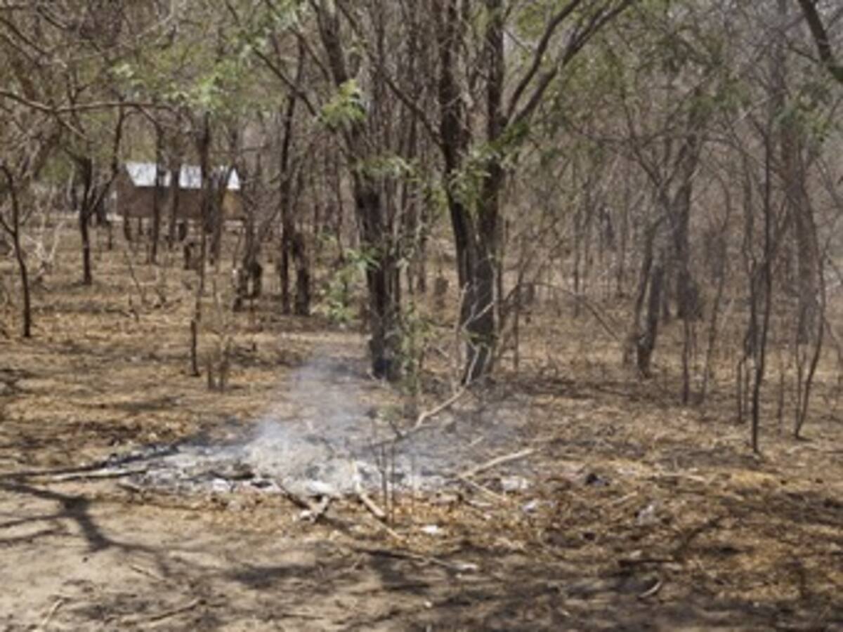 Fuerza Aérea trasladará hoy ayuda humanitaria a La Guajira